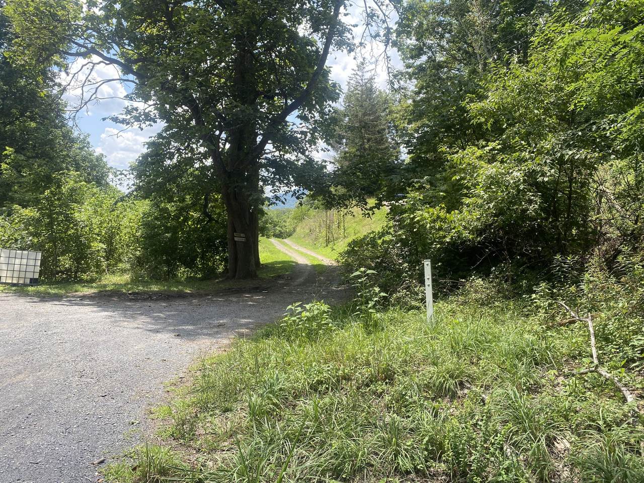 13345 Wolf Creek Rd - Photo 1