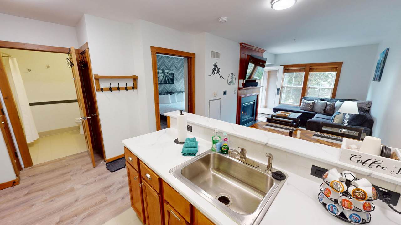 141 Allegheny Springs Ln - Photo 1
