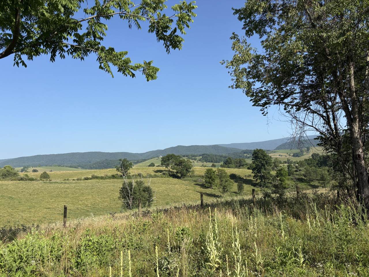 Lot 9 Long View Acres - Photo 1