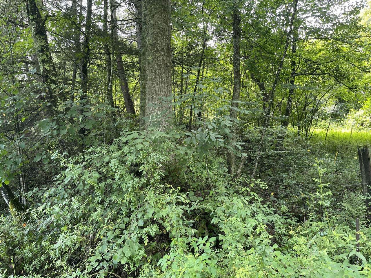 https://bt-photos.global.ssl.fastly.net/greenbrier/1280_boomver_1_26-1039-2.jpg