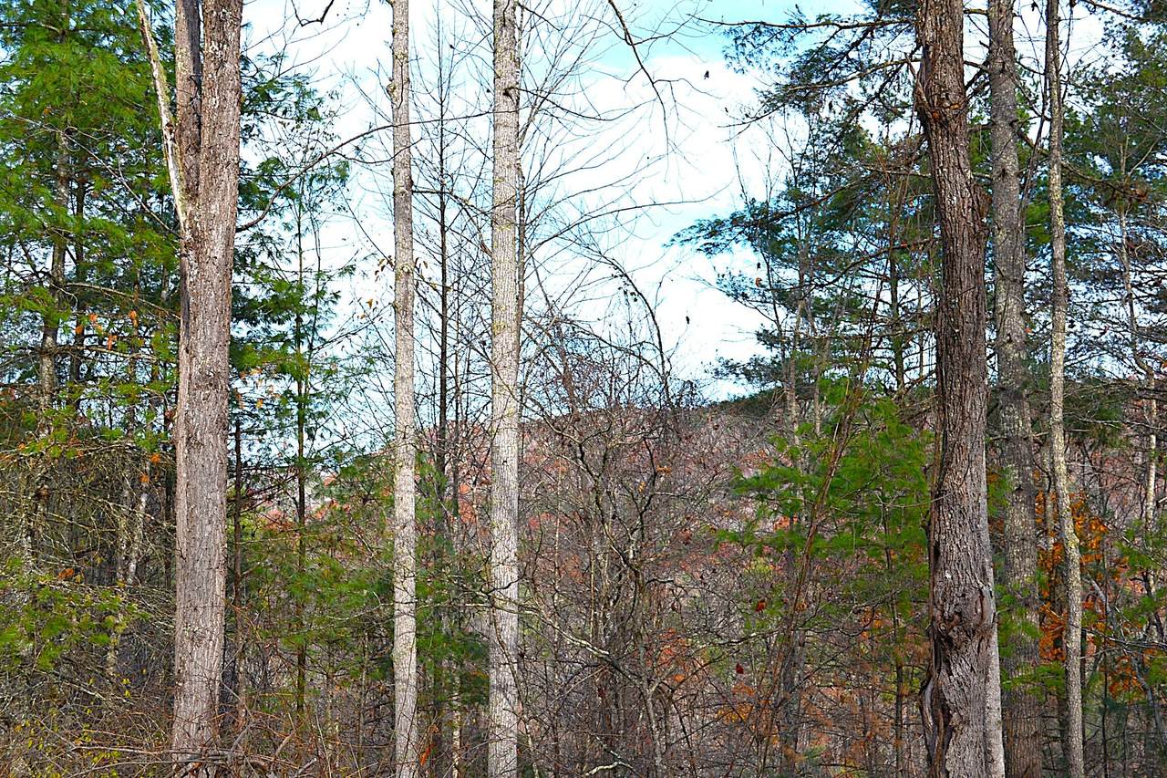 390 Joyful Way - Photo 1