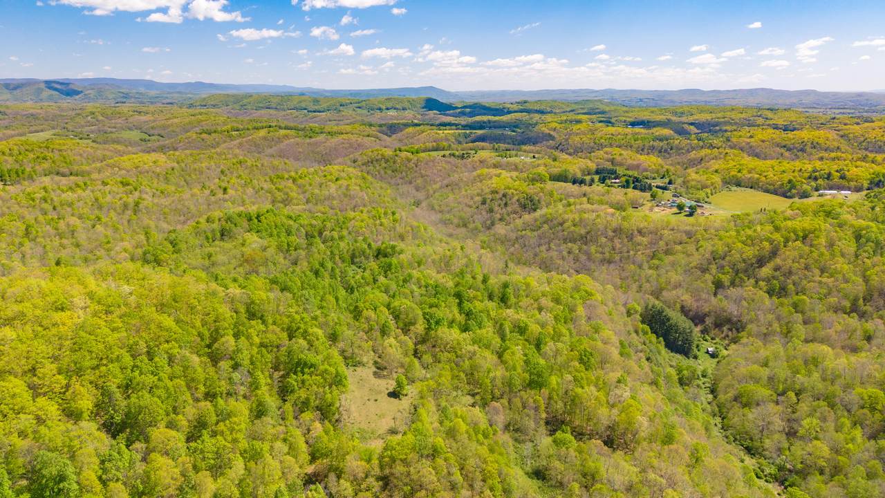 2465 Chestnut Flats Rd - Photo 1