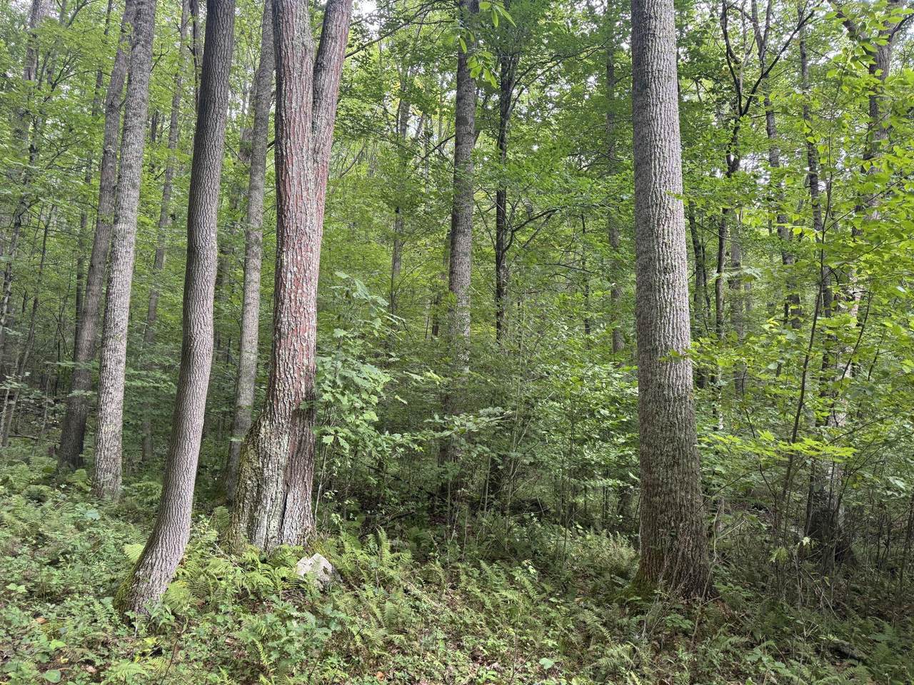 https://bt-photos.global.ssl.fastly.net/greenbrier/1280_boomver_1_26-1105-2.jpg