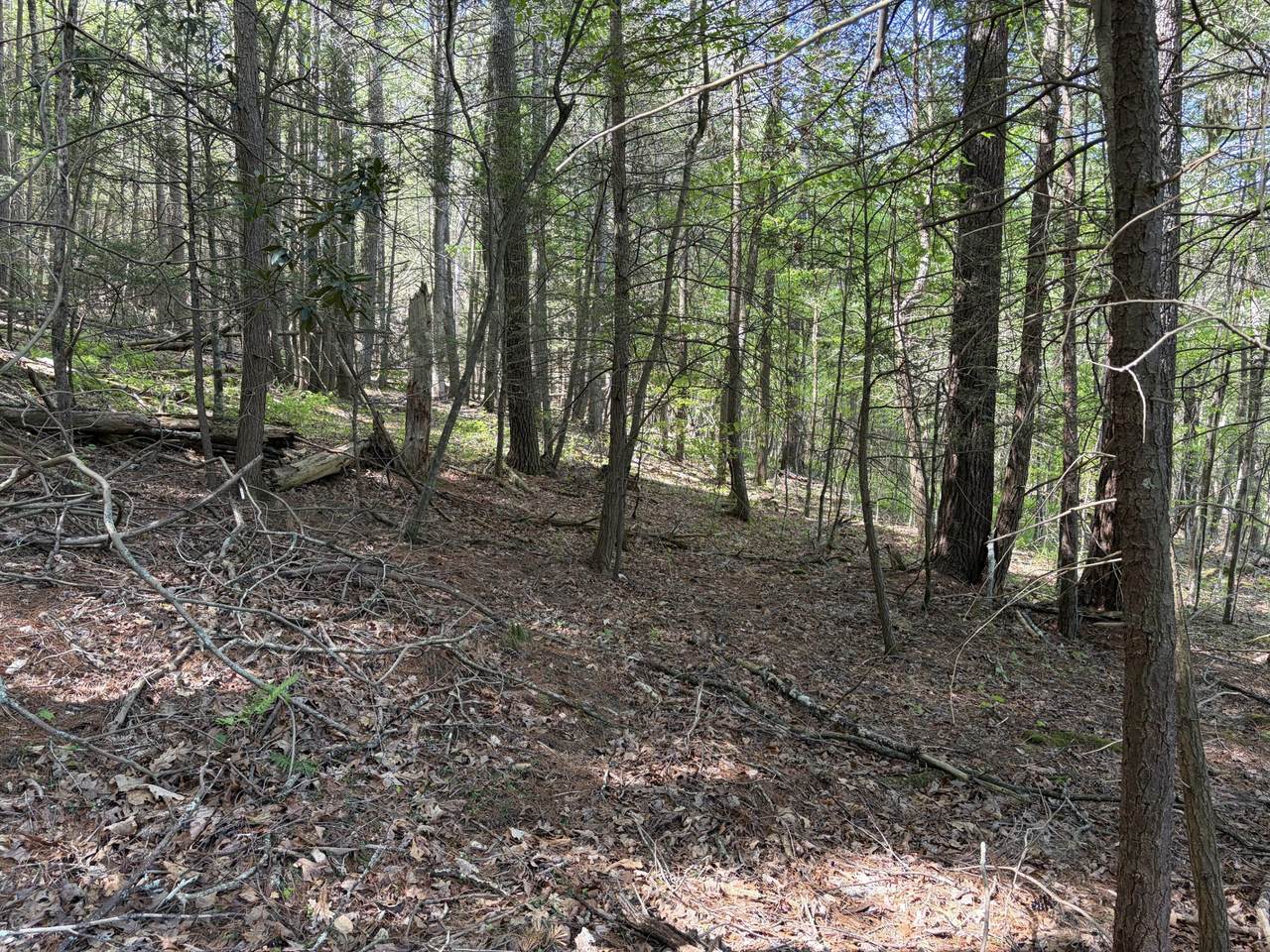 Lot 15 Pocahontas Trail - Photo 1