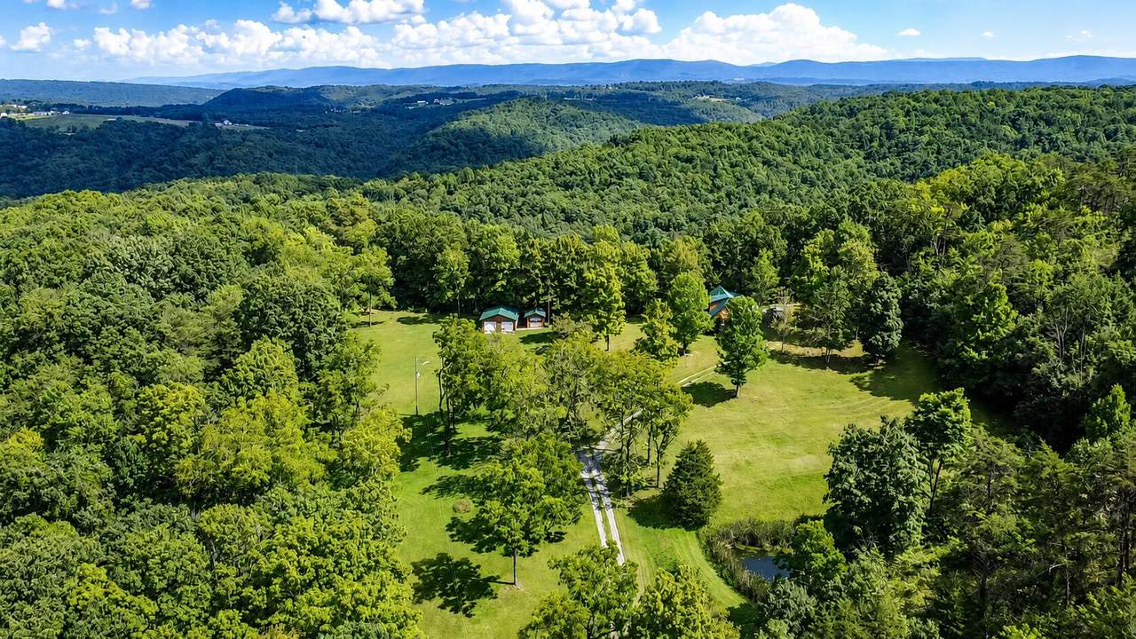 350 Mercy Mee Farm Rd - Photo 1