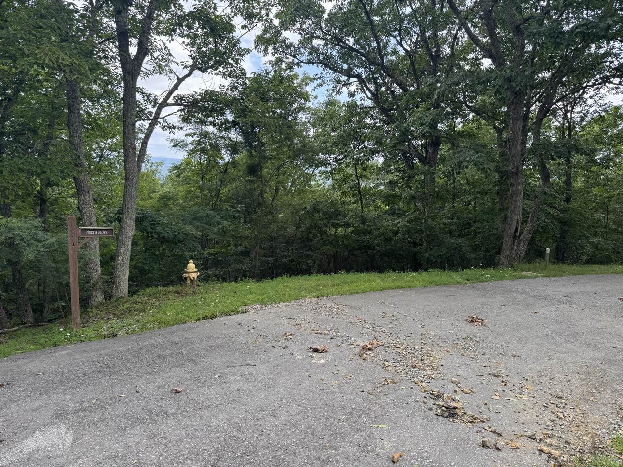  White Rock Trail - Photo 1
