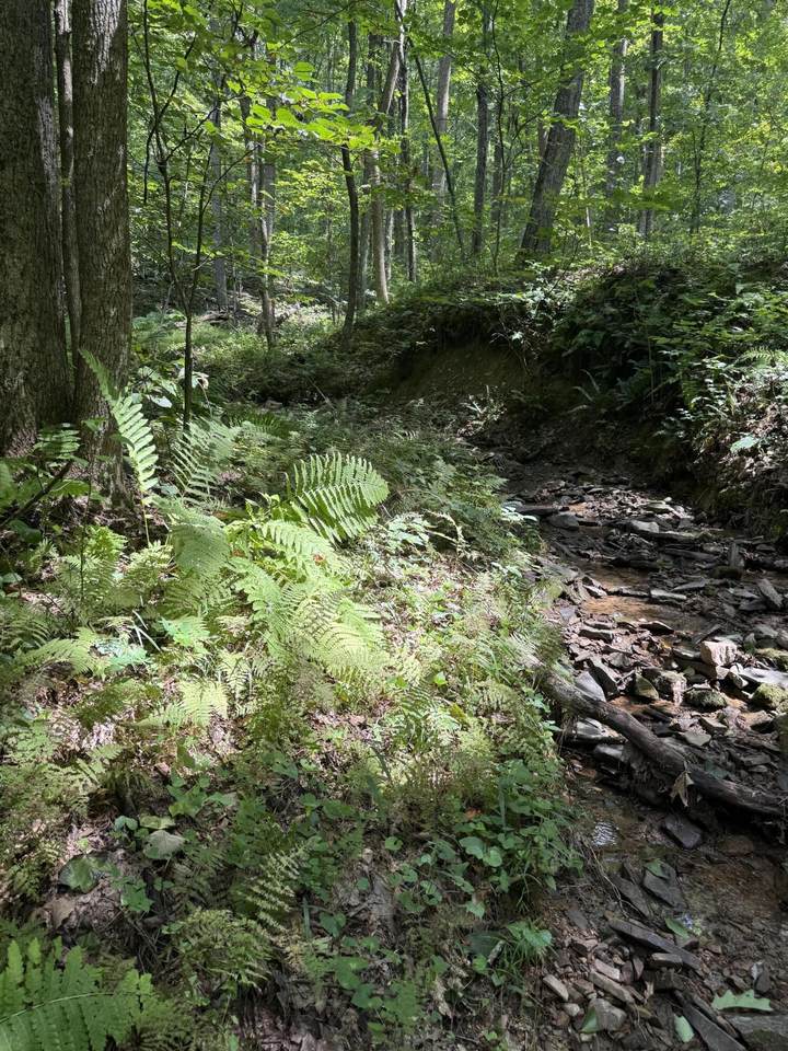 https://bt-photos.global.ssl.fastly.net/greenbrier/1280_boomver_1_26-1179-2.jpg