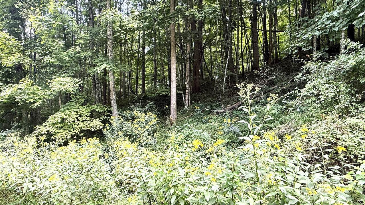  Little Mountain Drive - Photo 1