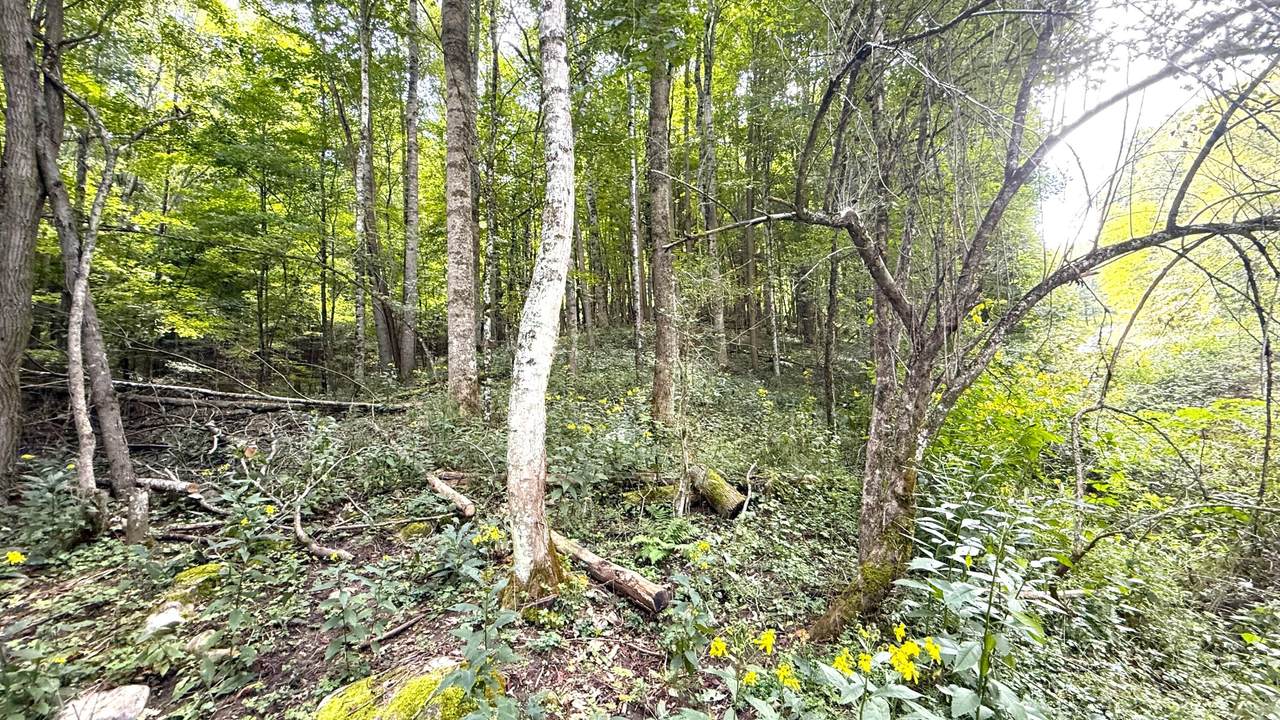 https://bt-photos.global.ssl.fastly.net/greenbrier/1280_boomver_1_26-1180-2.jpg