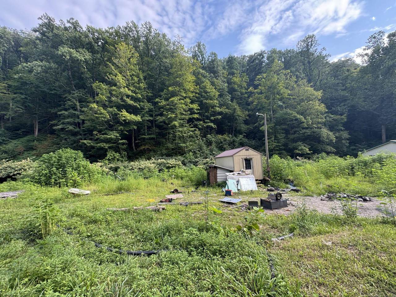 1668 Dry Branch Rd - Photo 1