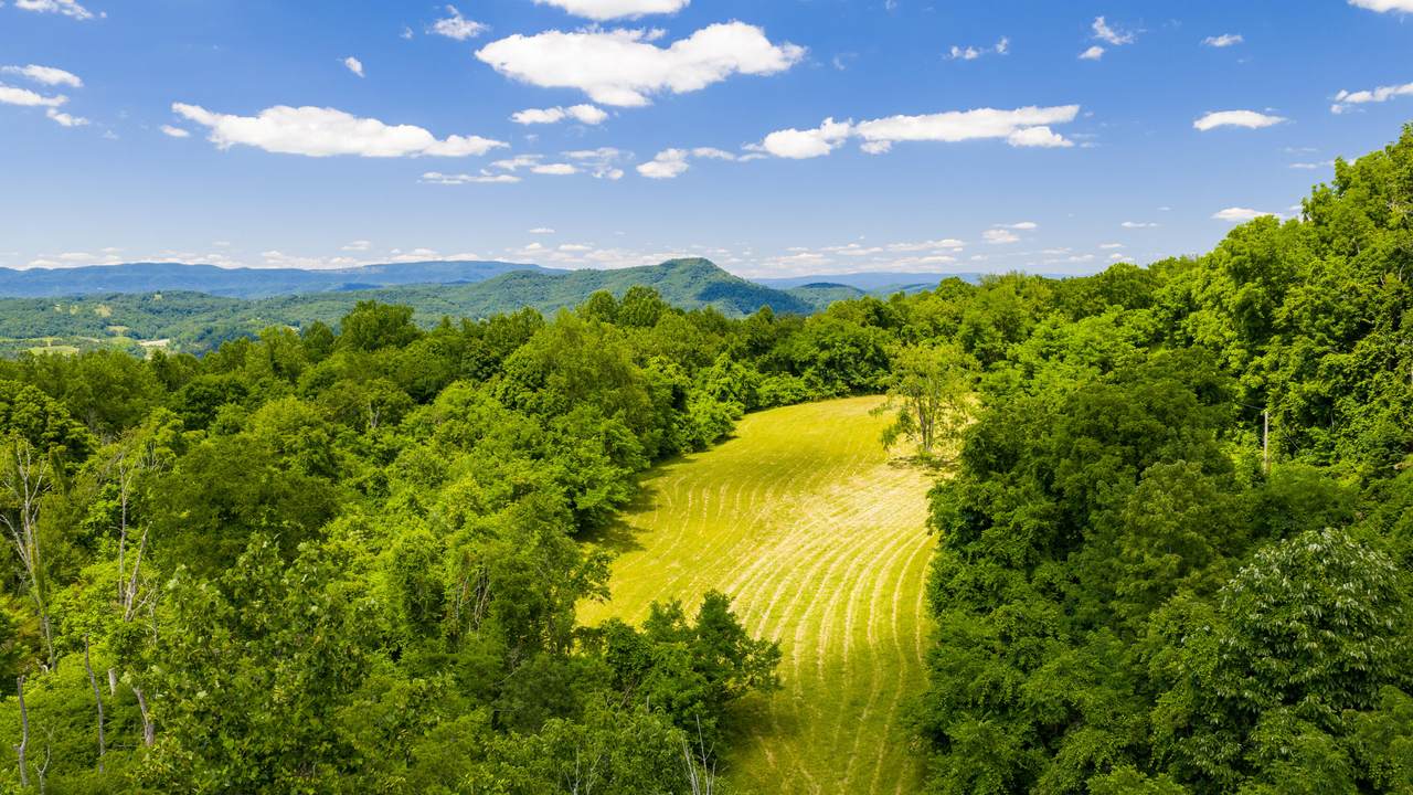 https://bt-photos.global.ssl.fastly.net/greenbrier/1280_boomver_1_26-1236-2.jpg