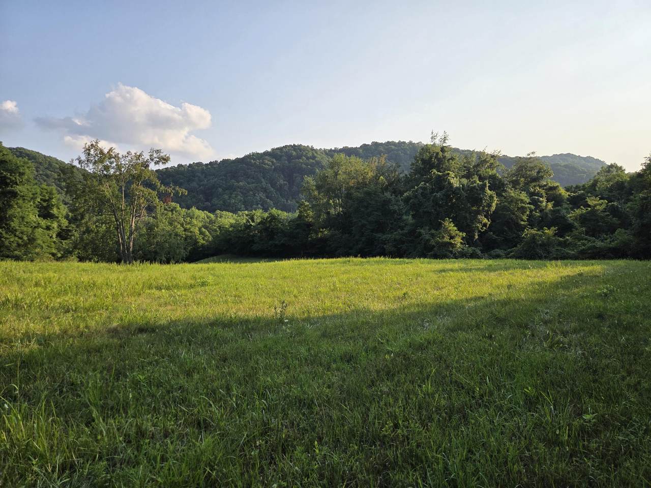 https://bt-photos.global.ssl.fastly.net/greenbrier/1280_boomver_1_26-1236-2.jpg