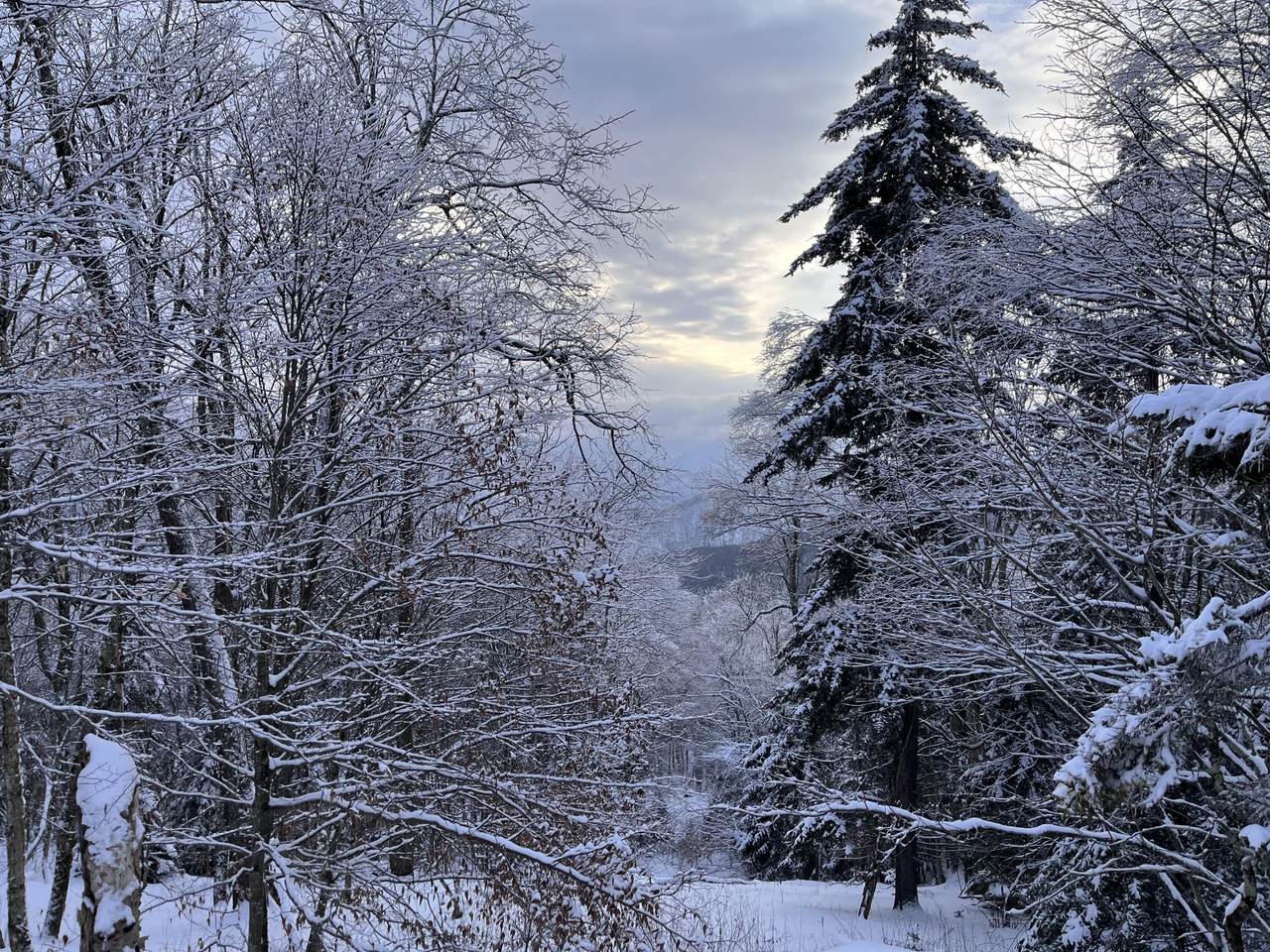 448 Westridge Road - Photo 1