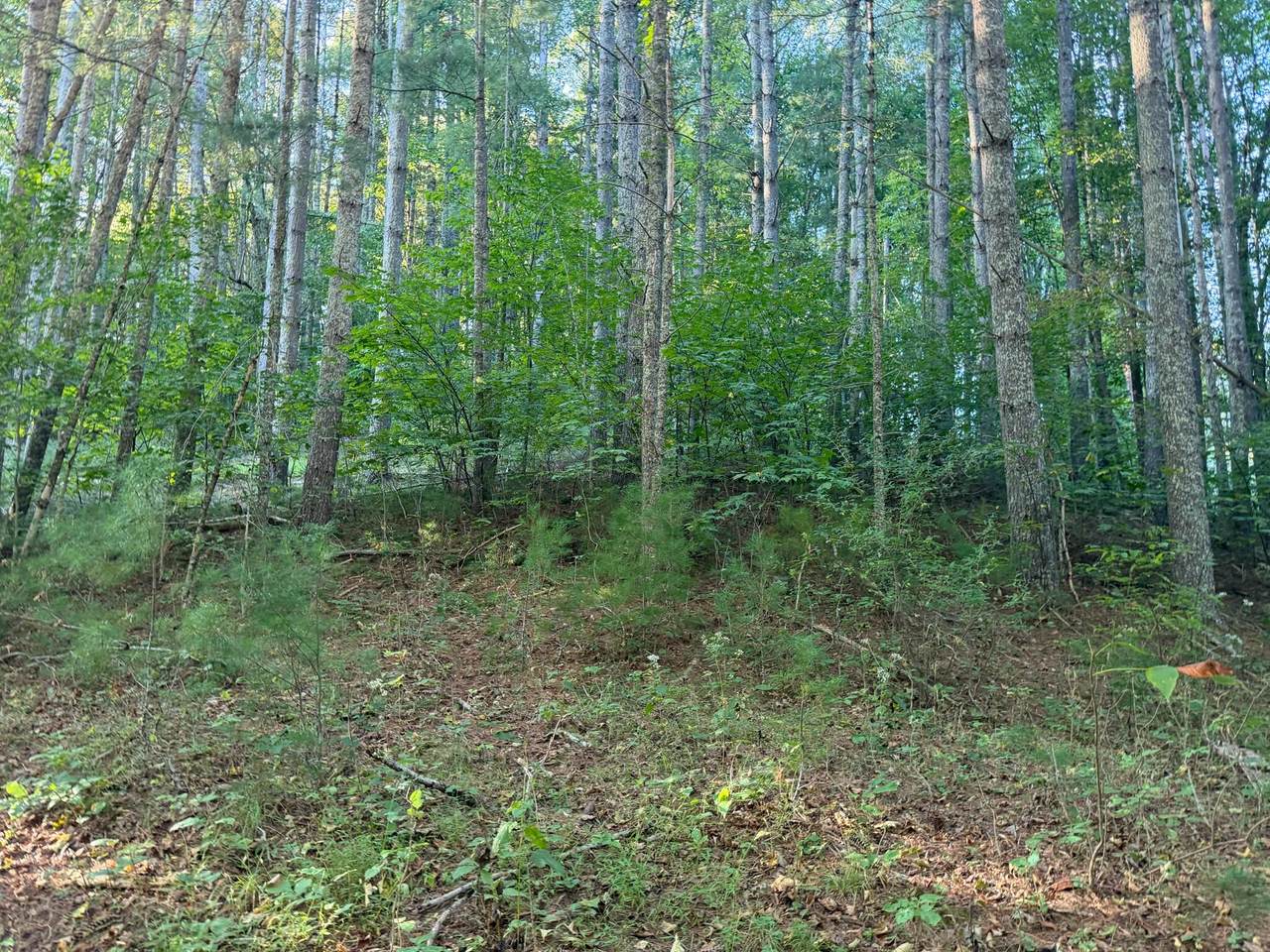 https://bt-photos.global.ssl.fastly.net/greenbrier/1280_boomver_1_26-1246-2.jpg