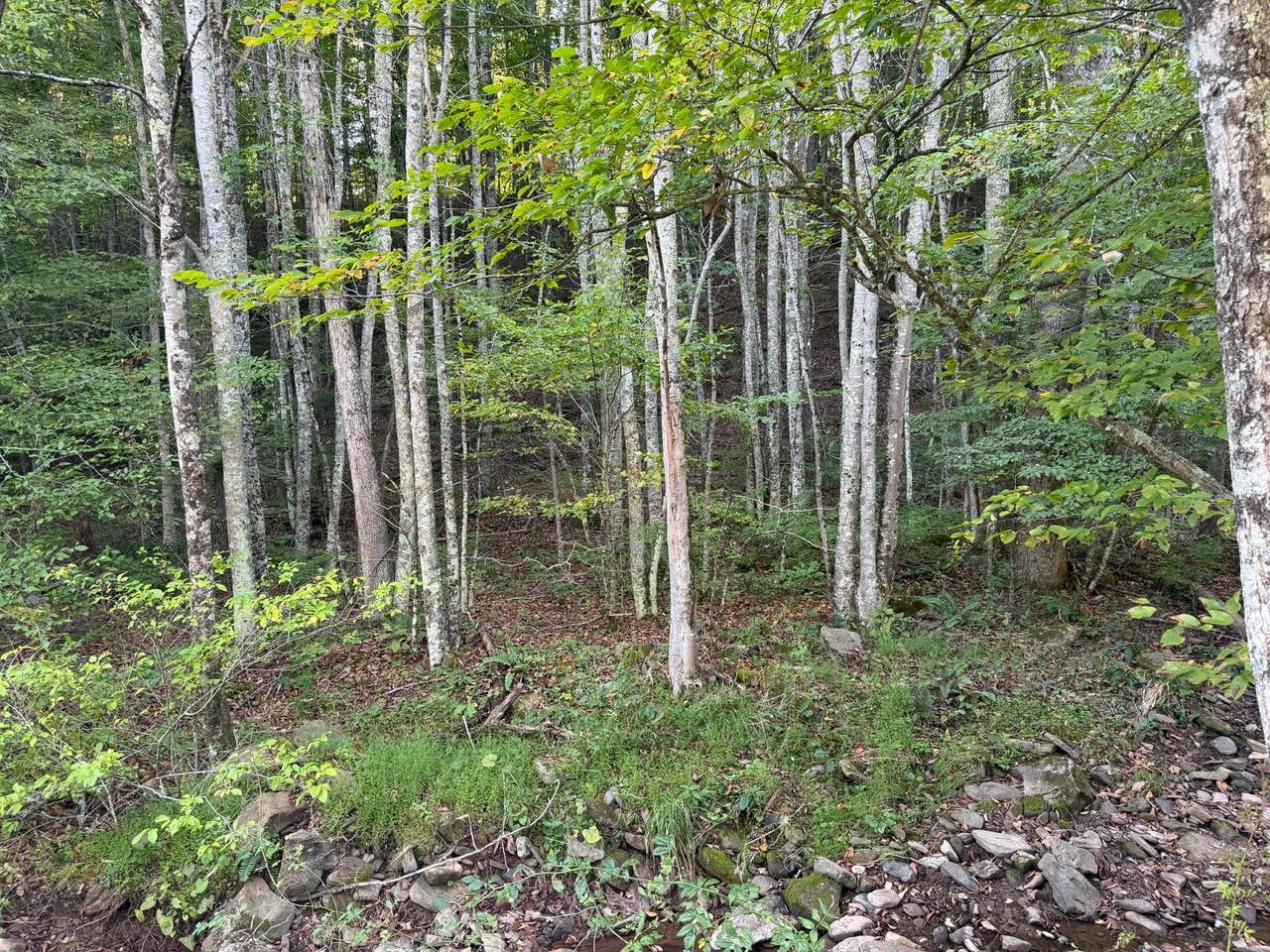 https://bt-photos.global.ssl.fastly.net/greenbrier/1280_boomver_1_26-1246-2.jpg