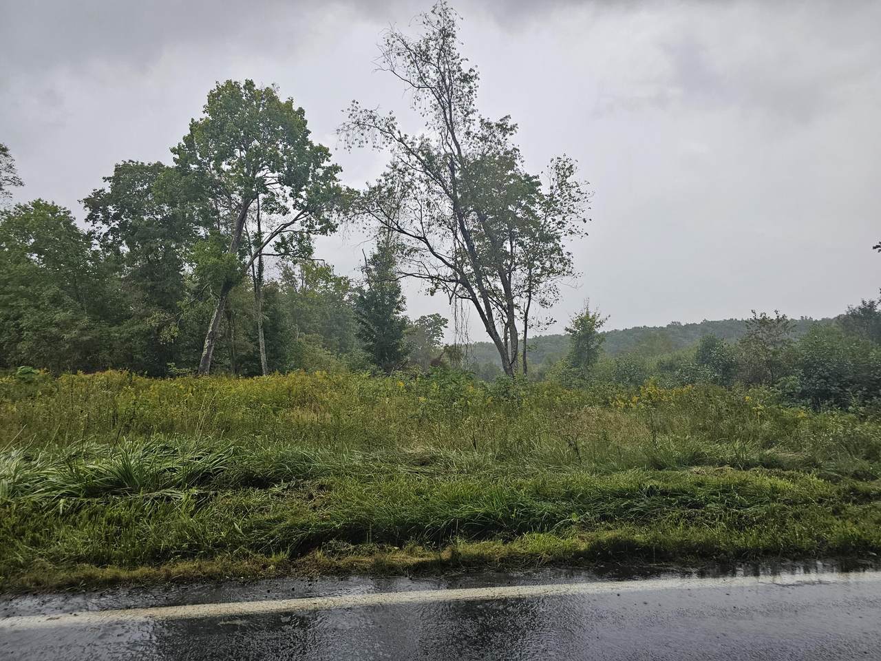  Rt 31 - Photo 1