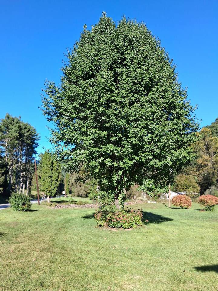 https://bt-photos.global.ssl.fastly.net/greenbrier/1280_boomver_1_26-1265-2.jpg