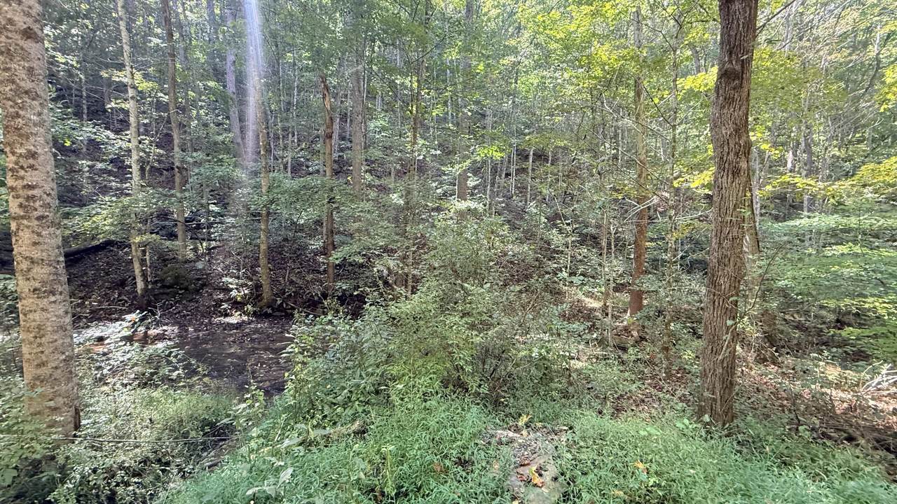 https://bt-photos.global.ssl.fastly.net/greenbrier/1280_boomver_1_26-1266-2.jpg