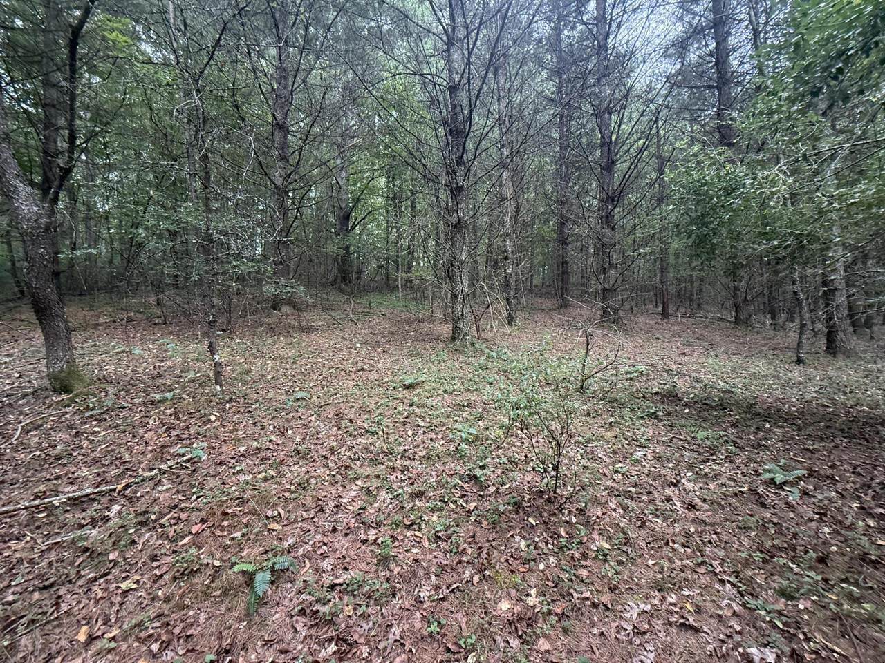 2678 Moncove Lake - Photo 1
