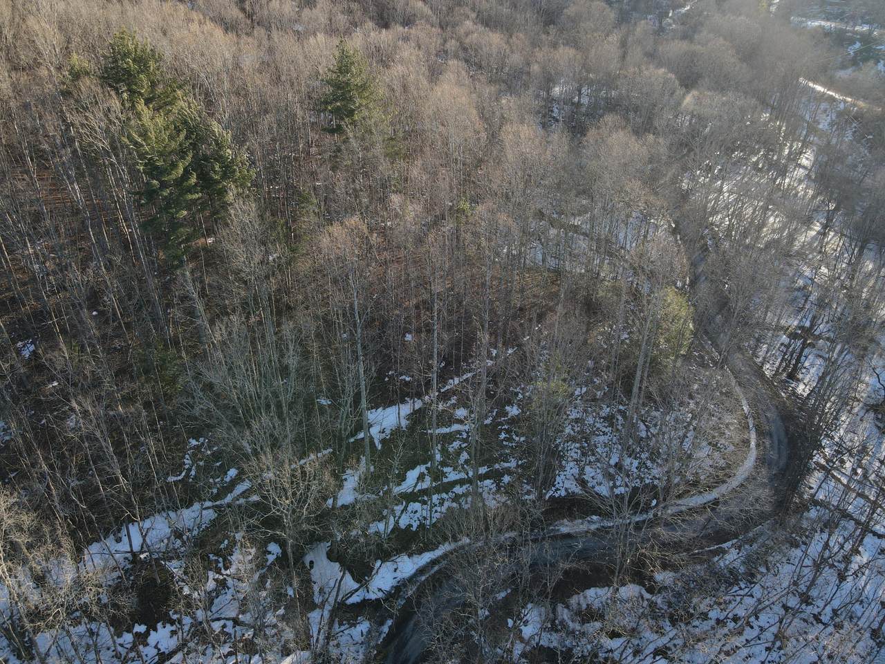 Tbd Leonard Long Rd - Photo 1