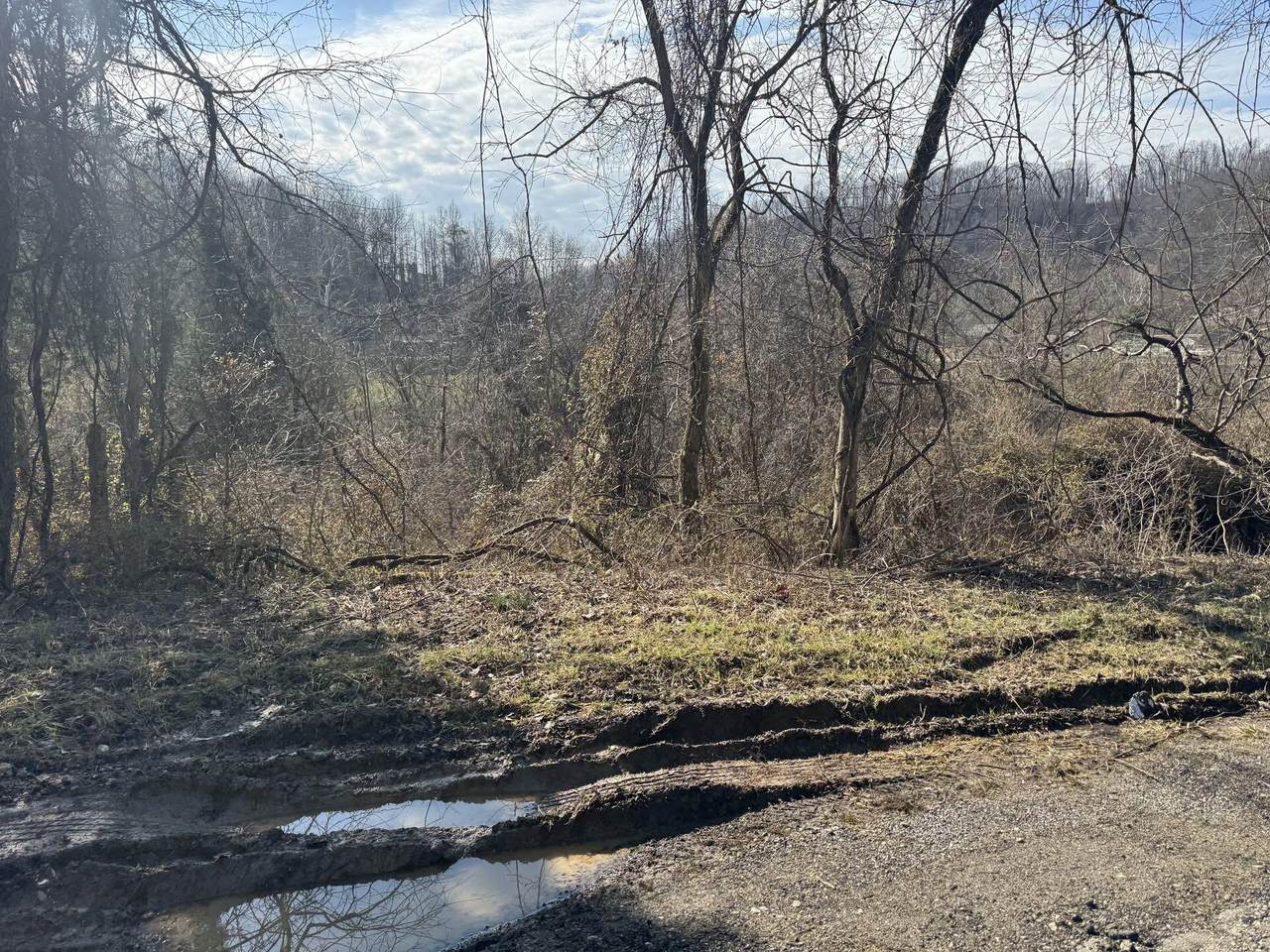 380 Frogs Creek Rd - Photo 1