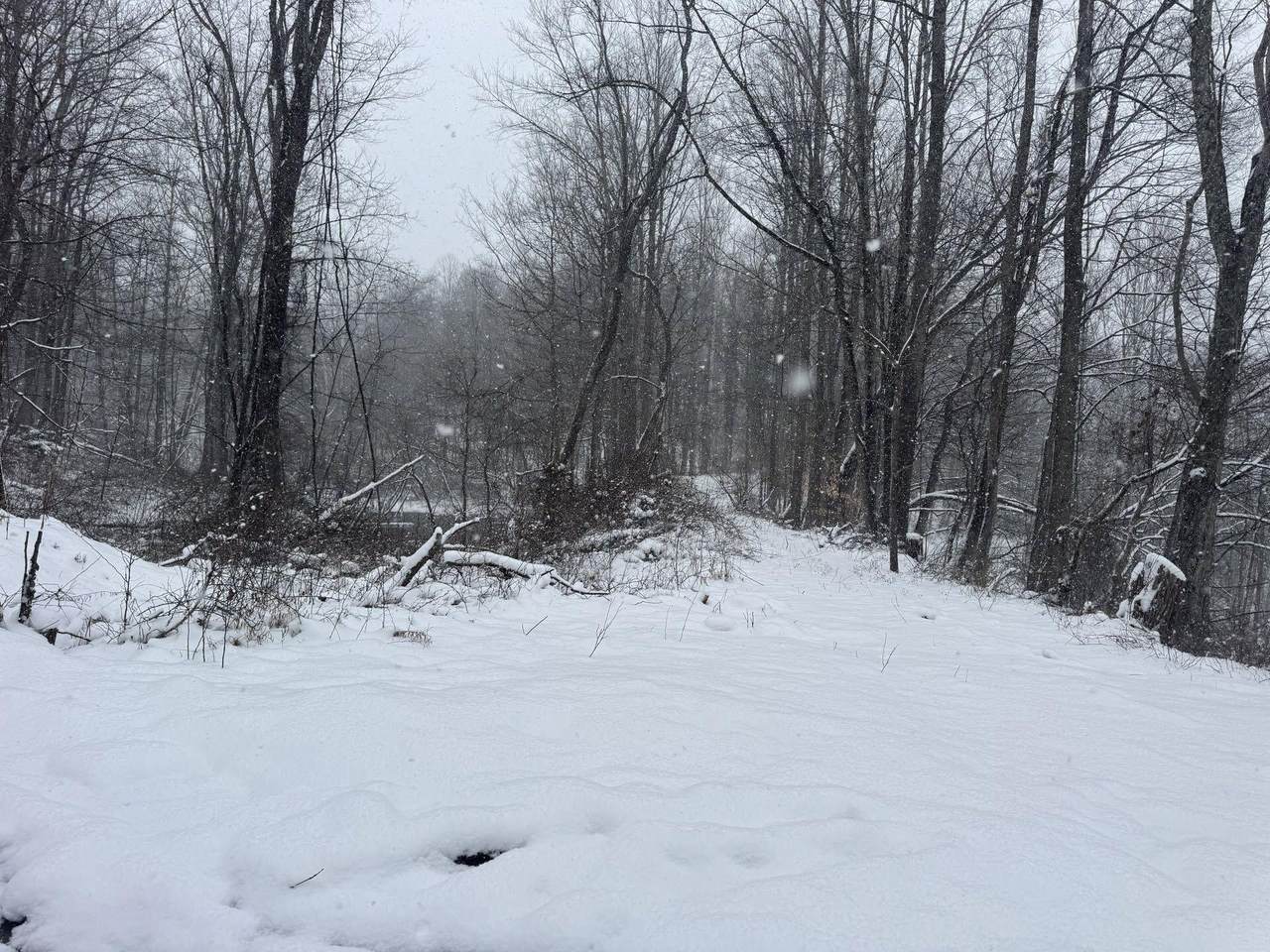 435 Old Long Branch Rd - Photo 1