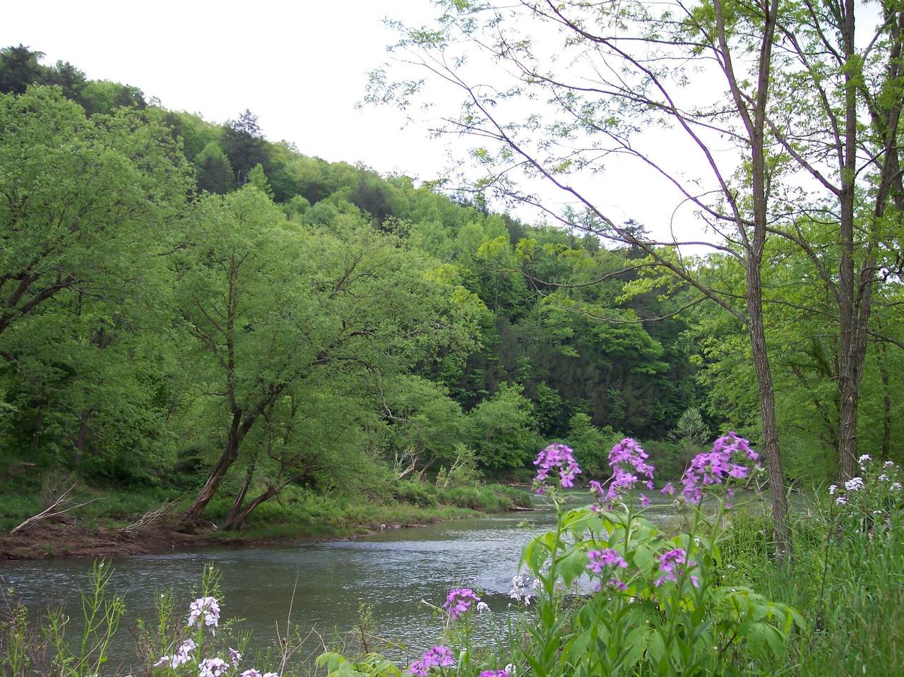 https://bt-photos.global.ssl.fastly.net/greenbrier/1280_boomver_1_26-297-2.jpg