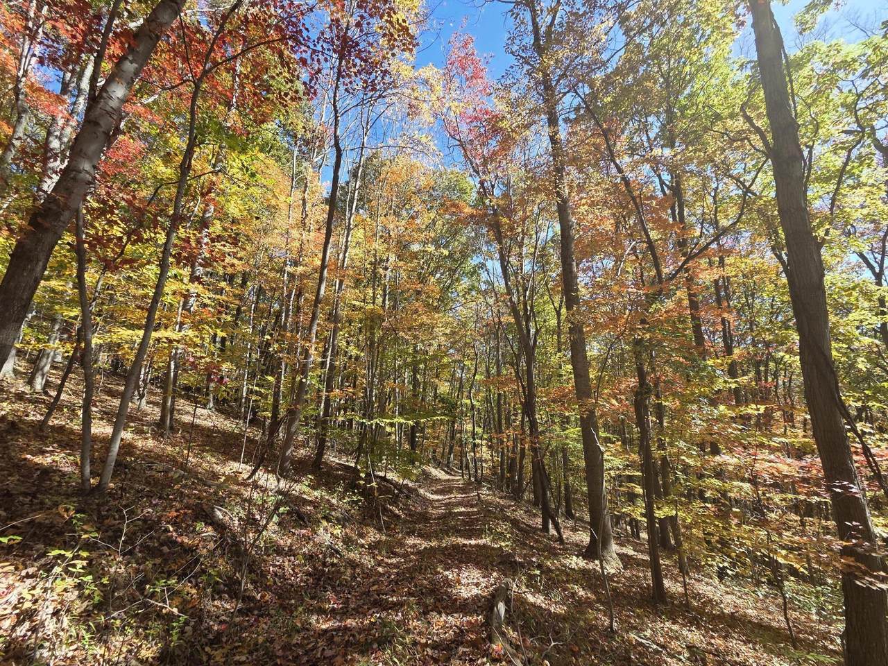 https://bt-photos.global.ssl.fastly.net/greenbrier/1280_boomver_1_26-302-2.jpg