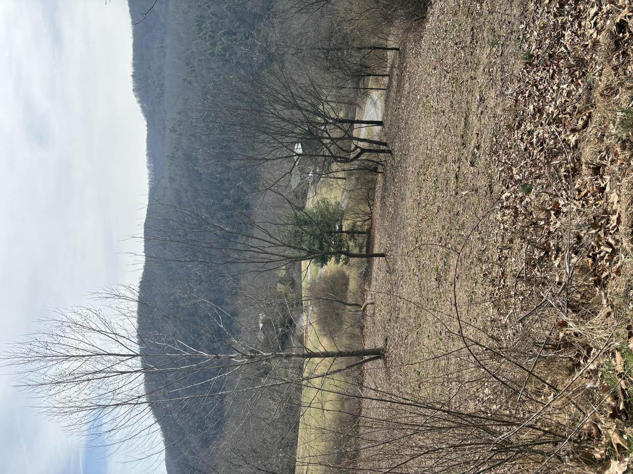  Hillside Bluffs - Photo 1
