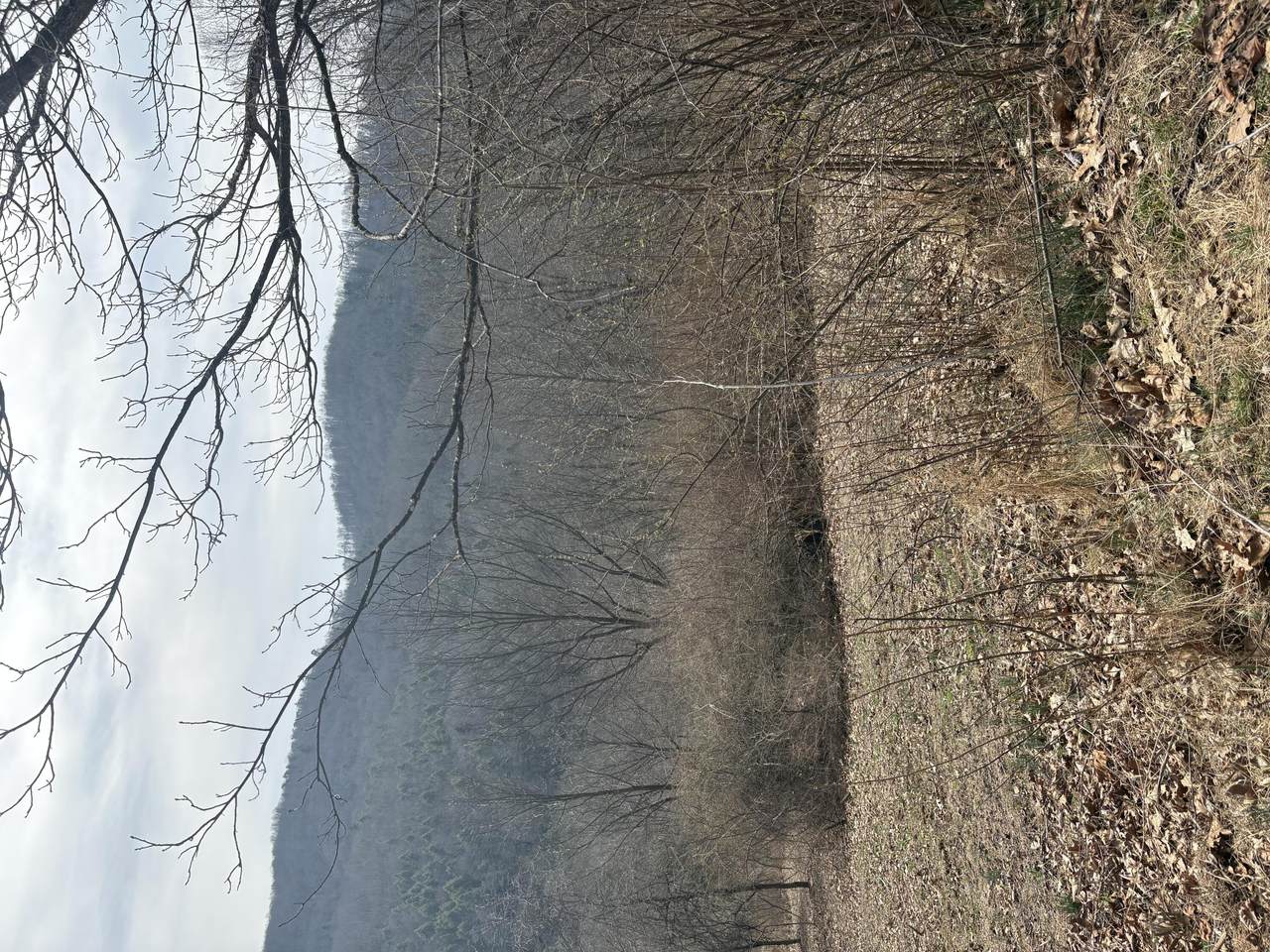 https://bt-photos.global.ssl.fastly.net/greenbrier/1280_boomver_1_26-322-2.jpg