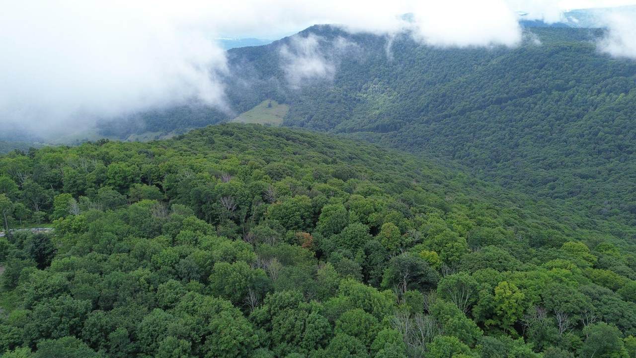 https://bt-photos.global.ssl.fastly.net/greenbrier/orig_boomver_3_26-365-2.jpg
