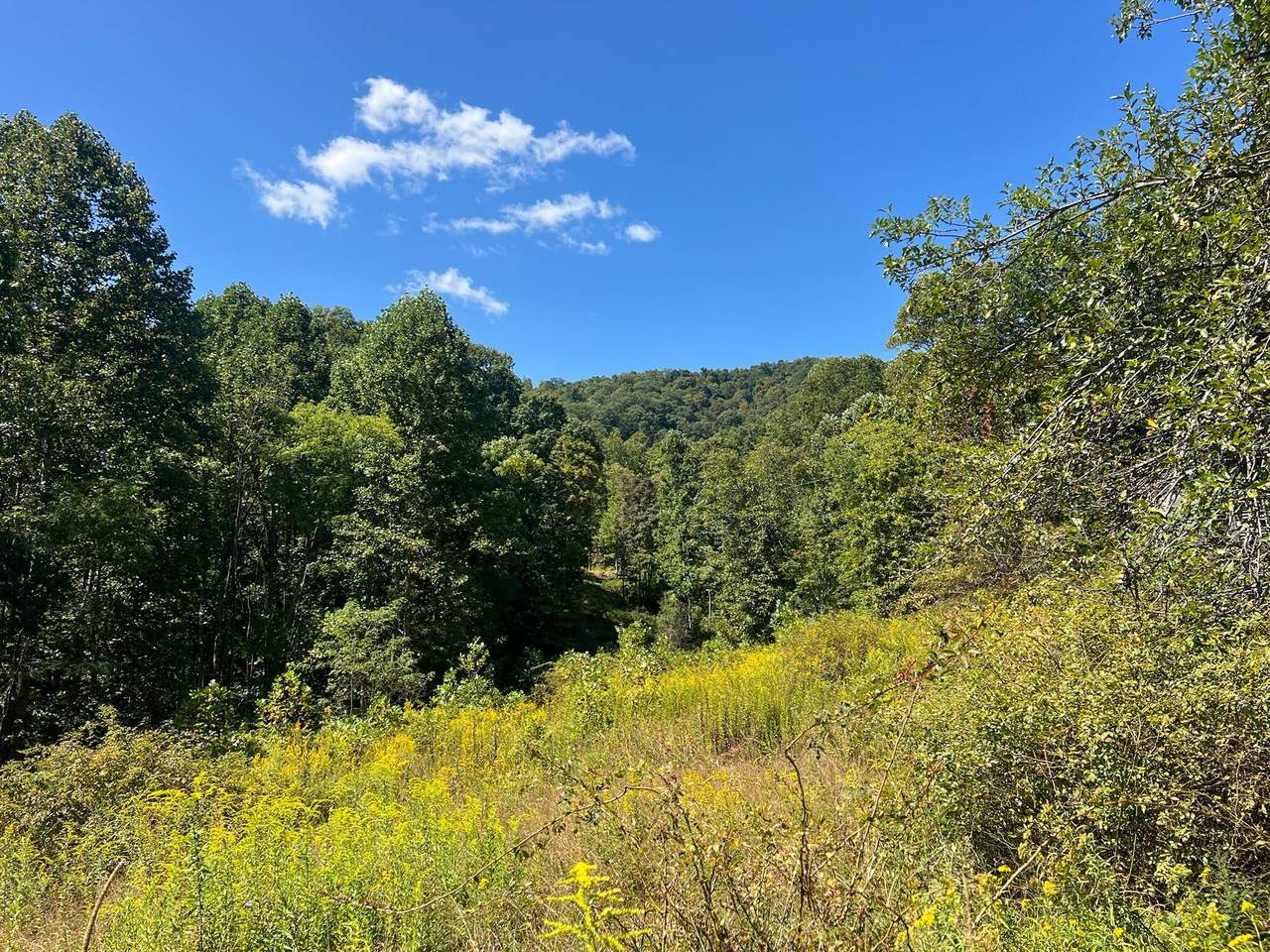  Hamilton Ridge Road - Photo 1