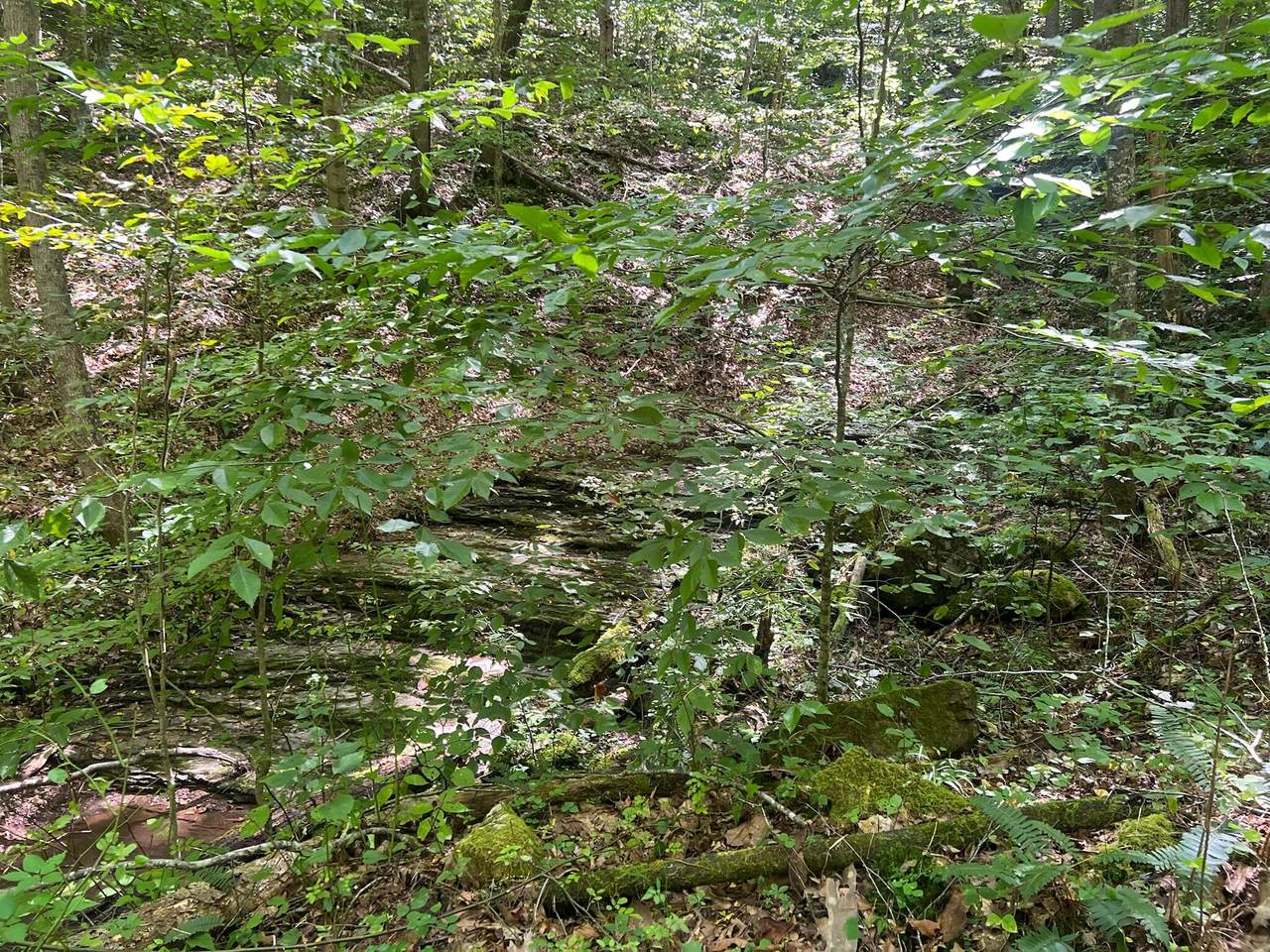 https://bt-photos.global.ssl.fastly.net/greenbrier/1280_boomver_1_26-377-2.jpg