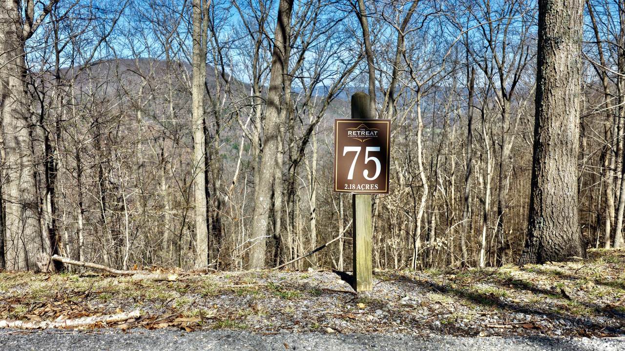 Lot #75 White Rock Trail - Photo 1