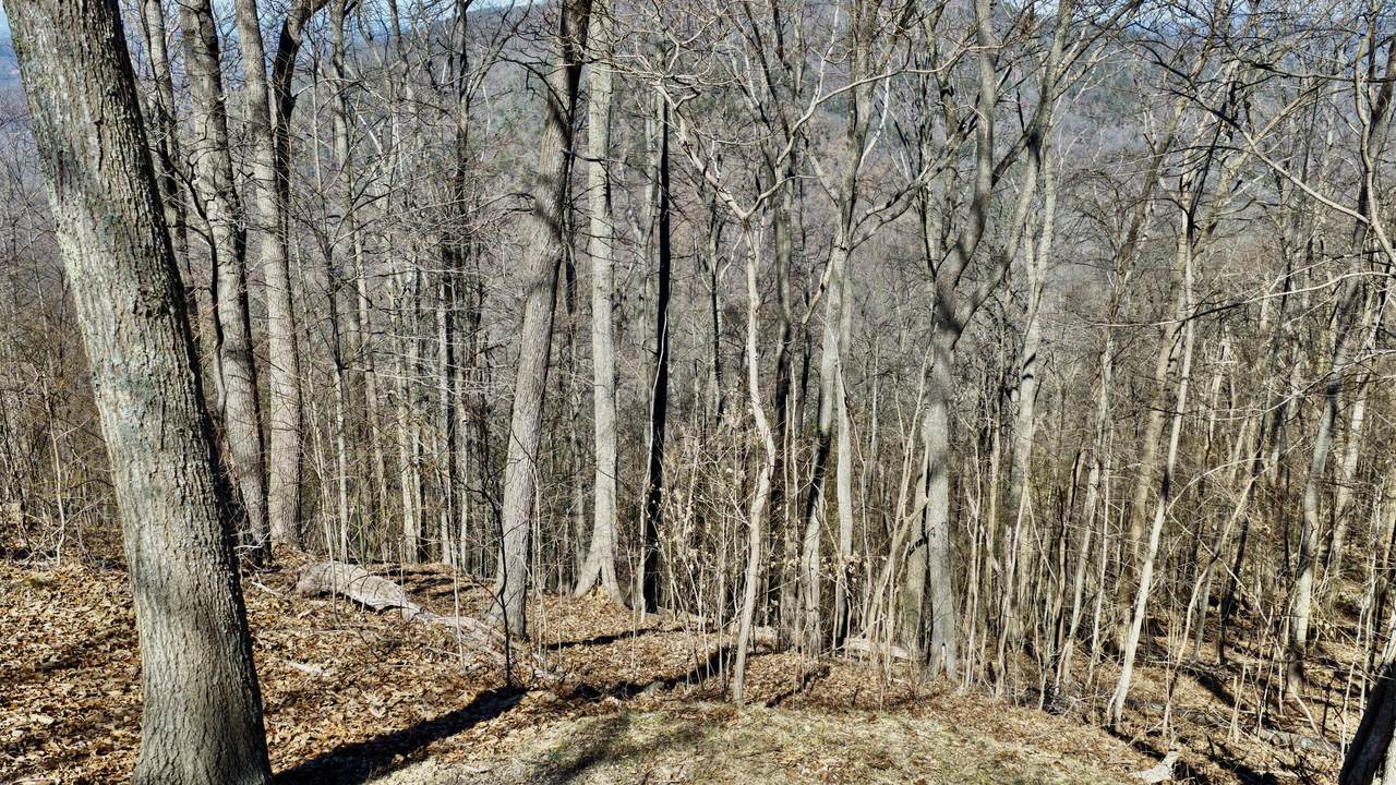 https://bt-photos.global.ssl.fastly.net/greenbrier/1280_boomver_1_26-383-2.jpg