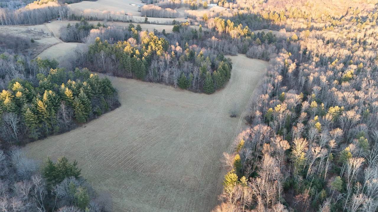 144+/- Ac Moncove Lake Road - Photo 1