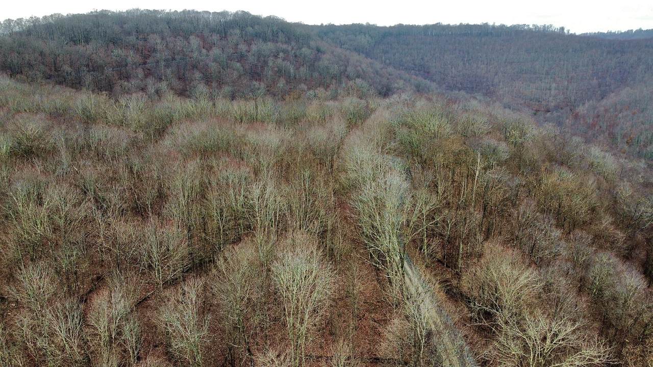  Russellville Rd - Photo 1