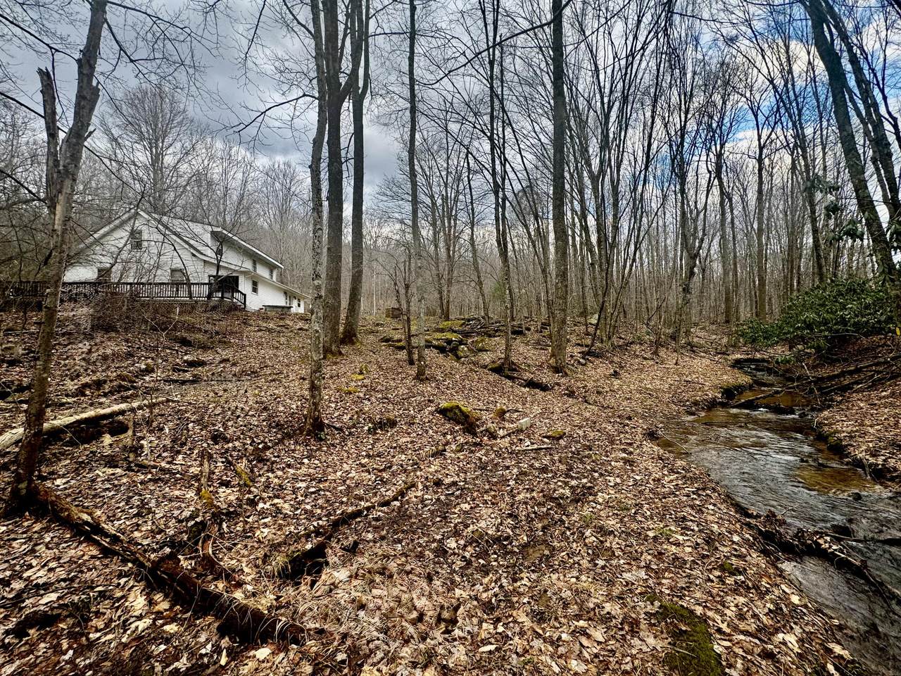 4336 Grassy Creek Rd - Photo 1