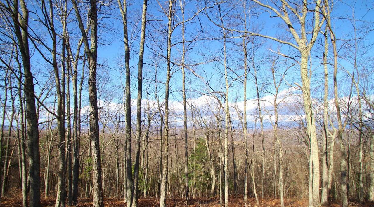 Lot 21 Wildwood Rdg - Photo 1
