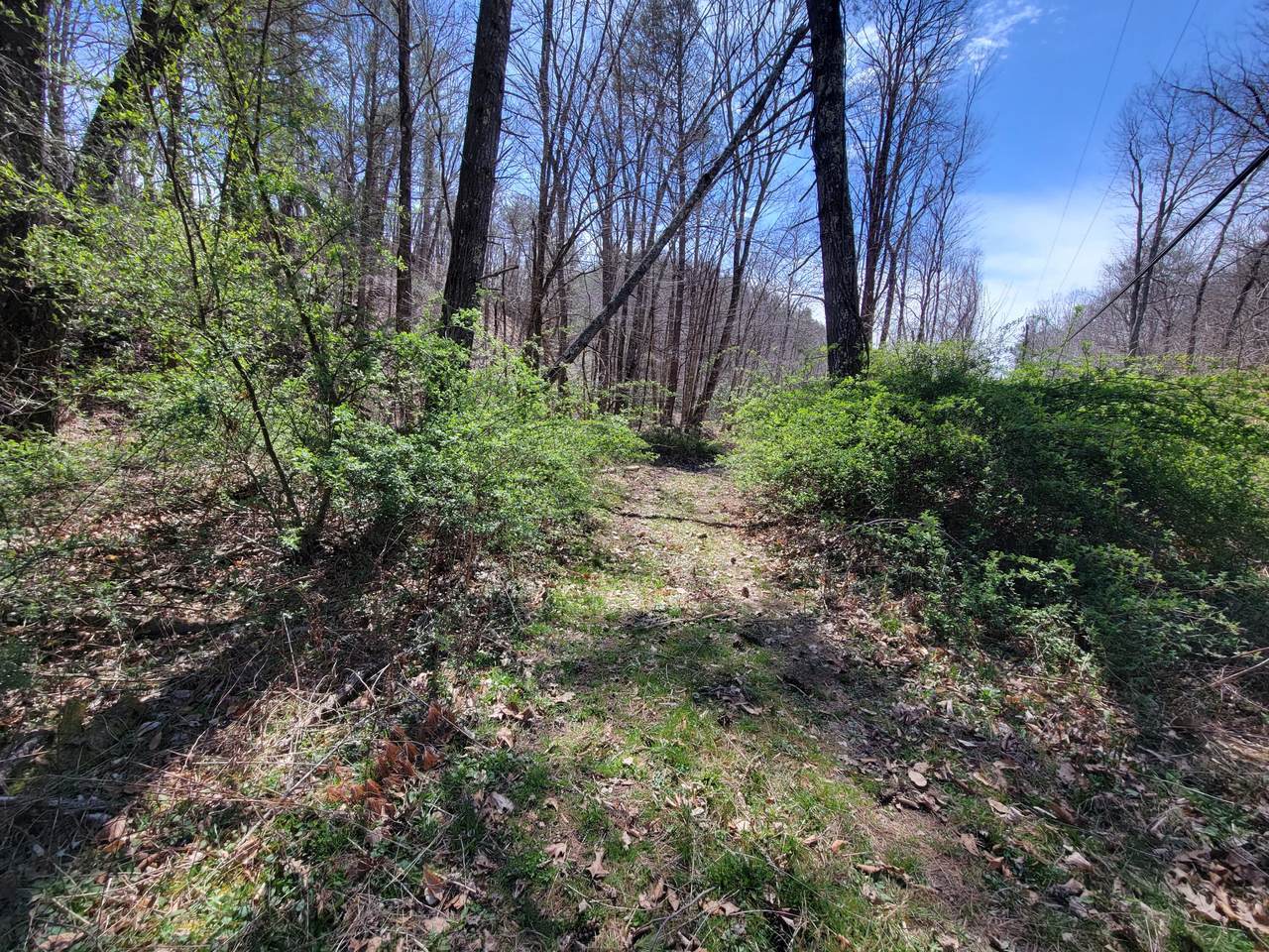 https://bt-photos.global.ssl.fastly.net/greenbrier/1280_boomver_1_26-436-2.jpg