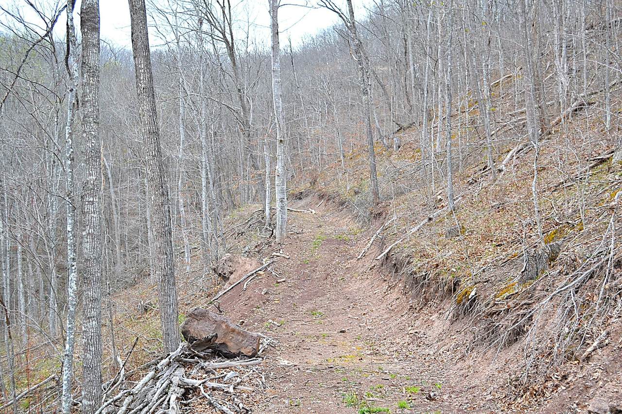  Snake Run Rd - Photo 1