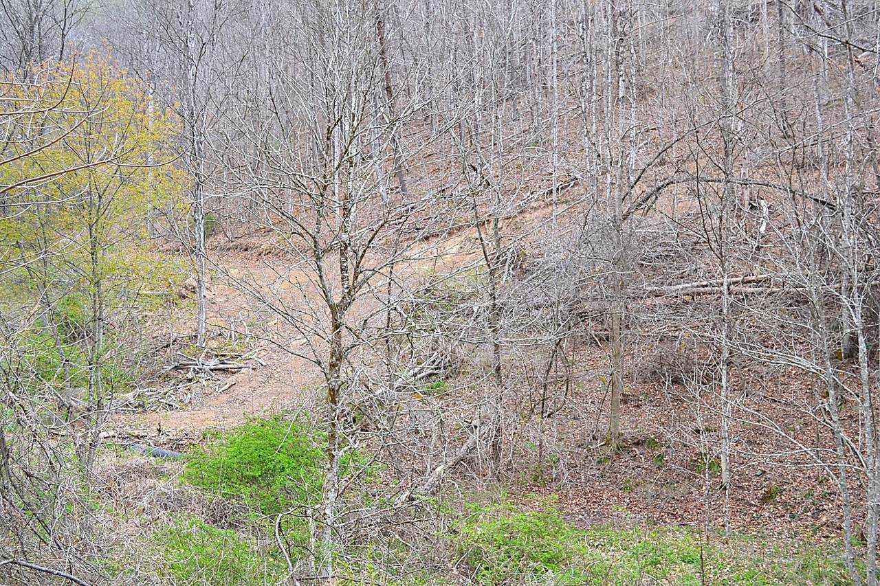 https://bt-photos.global.ssl.fastly.net/greenbrier/1280_boomver_1_26-439-2.jpg