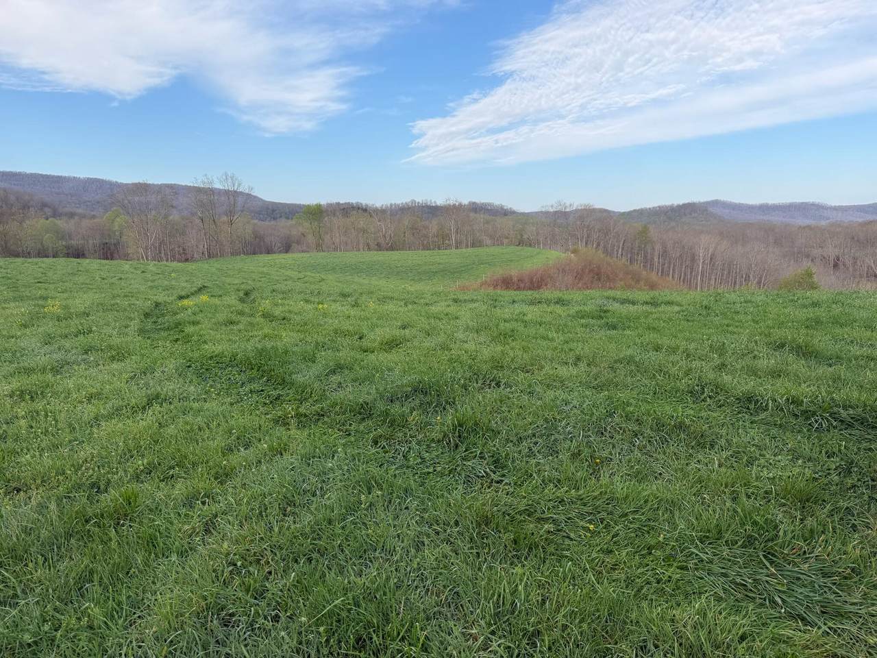 1999 Snake Run Rd - Photo 1