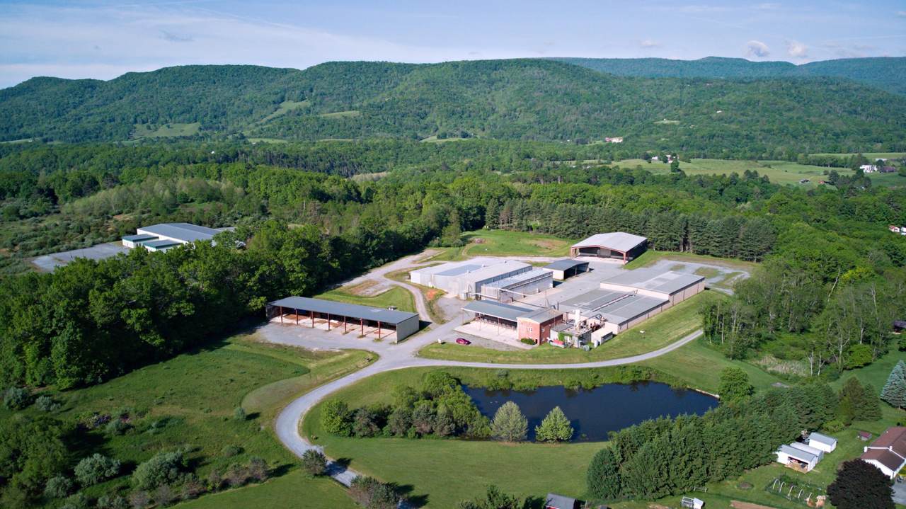https://bt-photos.global.ssl.fastly.net/greenbrier/1280_boomver_1_26-466-2.jpg