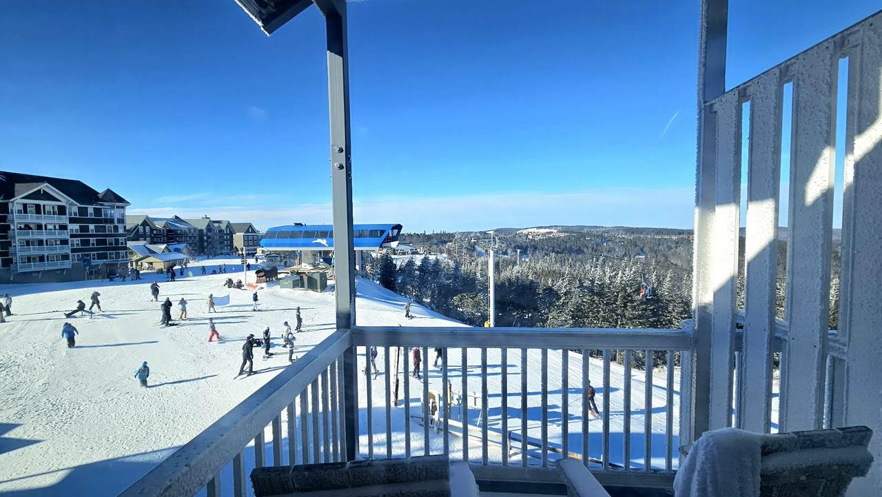 75 Mountain Lodge Ln - Photo 1