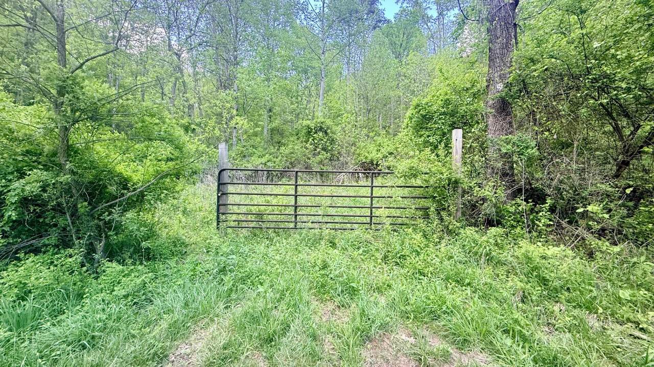  Powell Mountain Rd - Photo 1