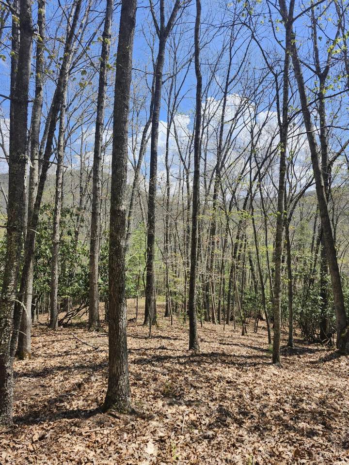 270 Trailside Ln - Photo 1