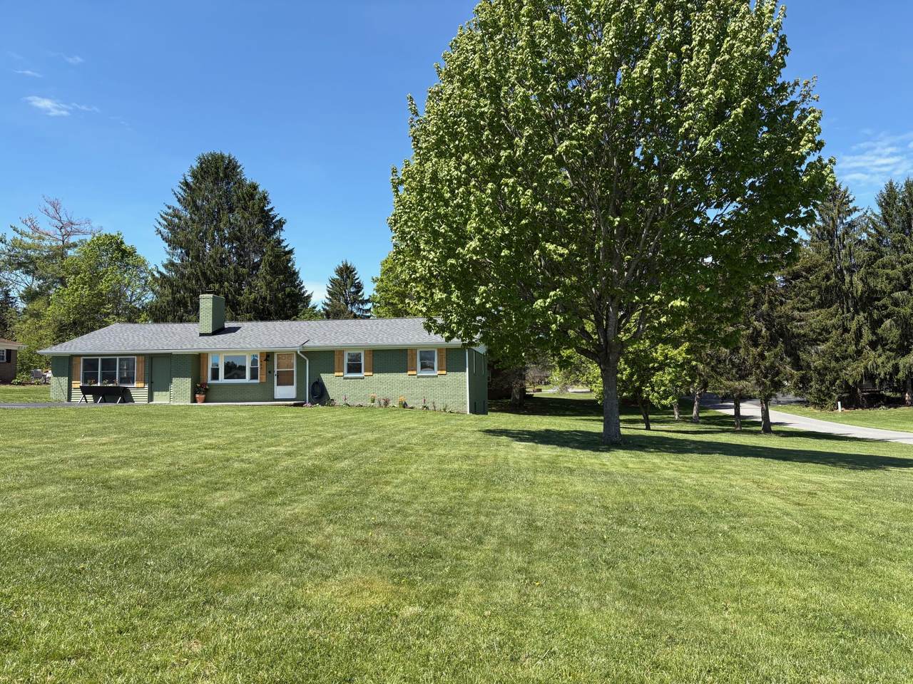 443 Mayapple Trl - Photo 1