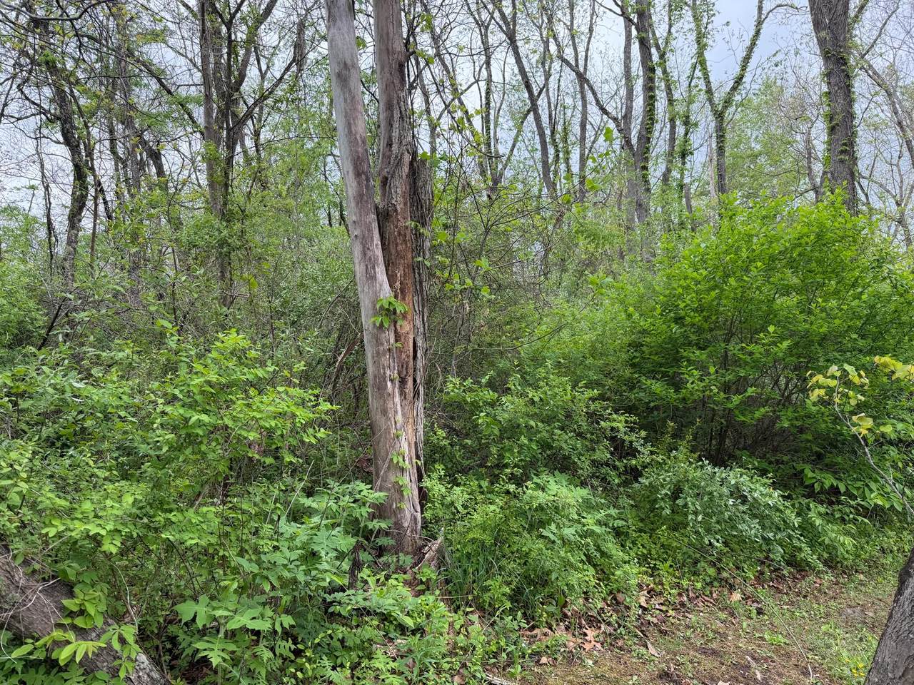 https://bt-photos.global.ssl.fastly.net/greenbrier/1280_boomver_1_26-560-2.jpg
