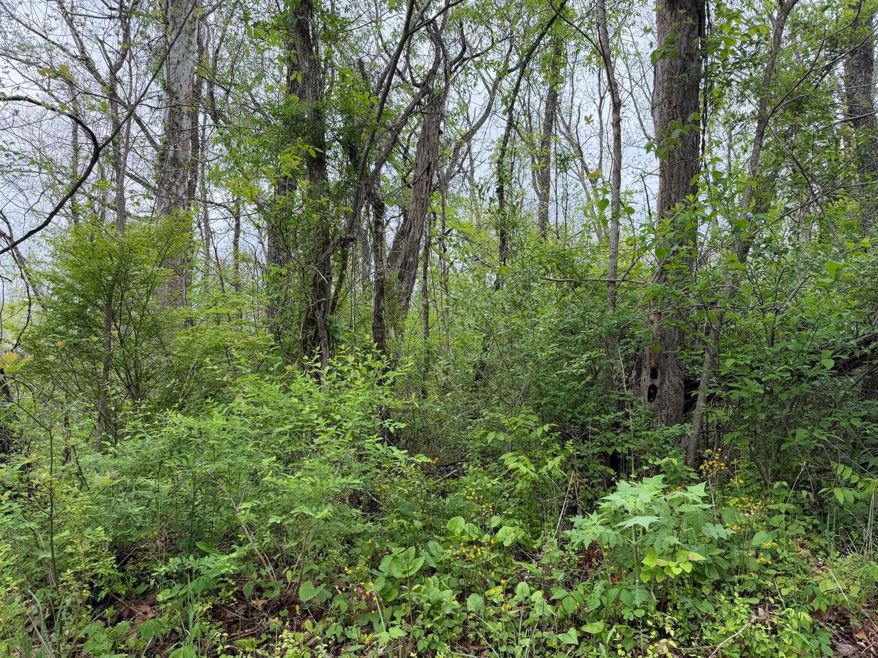 https://bt-photos.global.ssl.fastly.net/greenbrier/1280_boomver_1_26-560-2.jpg